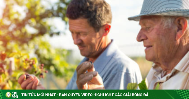 Bí quyết sống lâu: Người sống thọ thường giữ 4 thói quen này mỗi ngày