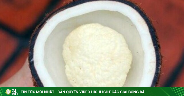 Đặc sản “bí mật” bên trong trái dừa có giá đắt đỏ