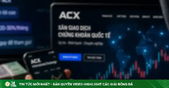 Quản lý của đường dây lừa đảo đầu tư chứng khoán khai 'cấp trên của cấp trên' là Mr Pips