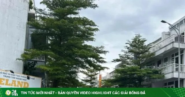 Chưa được giao đất, một doanh nghiệp đã xây hàng chục căn nhà rồi... bán