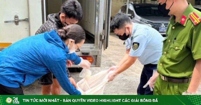 Tài xế chở gần nửa tấn lòng lợn bốc mùi hôi thối đi tiêu thụ