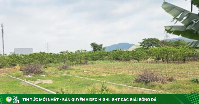 Quảng Ninh: 317 hồ sơ chuyển từ đất nông nghiệp sang đất ở, phường giải trình thế nào?