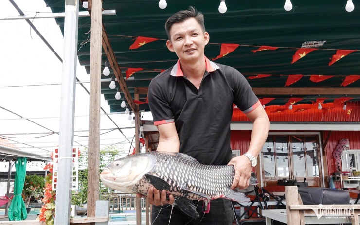 Anh Dương Kế Hiền giới thiệu cá hô được nuôi tại bè để phục vụ du khách tham quan, trải nghiệm 