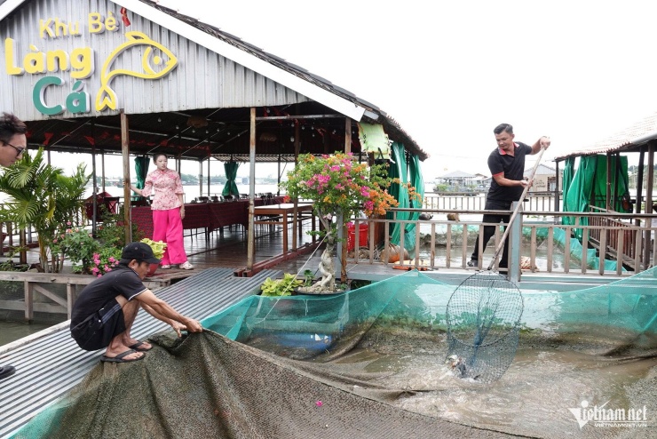 Không gian bè nổi giữa sông Hậu được cải tạo thành điểm tham quan, góp phần đa dạng sản phẩm du lịch cộng đồng