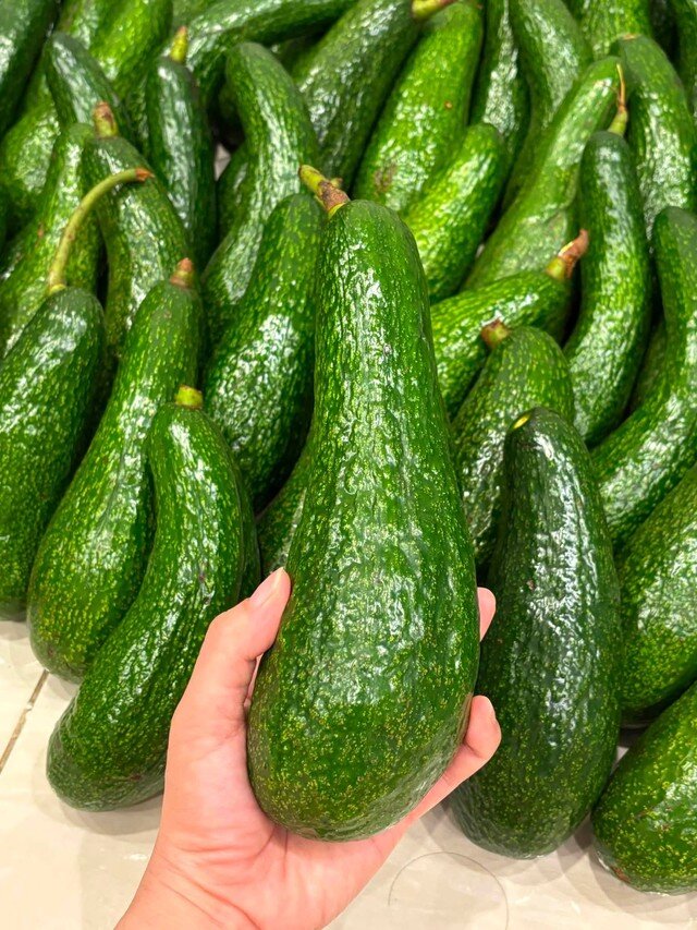 Bơ 034 là một trong những giống bơ ngon được nhiều người tiêu dùng ưa chuộng.