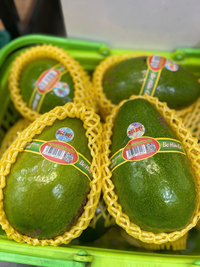 Bơ Tứ quý có hình dạng thuôn dài, da quả bóng trơn.