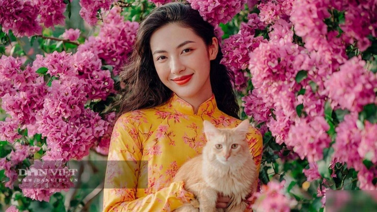 Thiên thời địa lợi, làm gì cũng thuận.