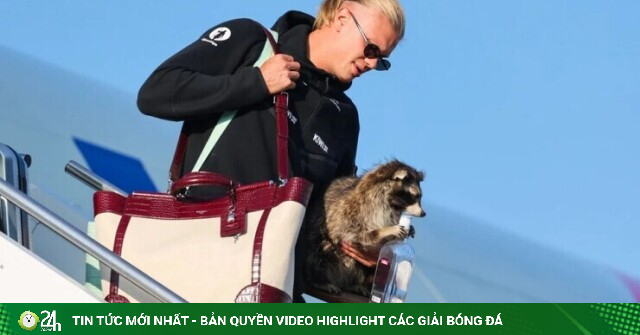 Trở về Na Uy sau World Cup 2026, Erling Haaland ôm gấu mèo nhồi bông gây sốt MXH