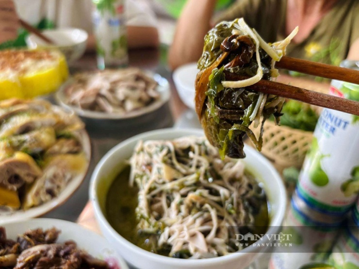 Nhật Hà
