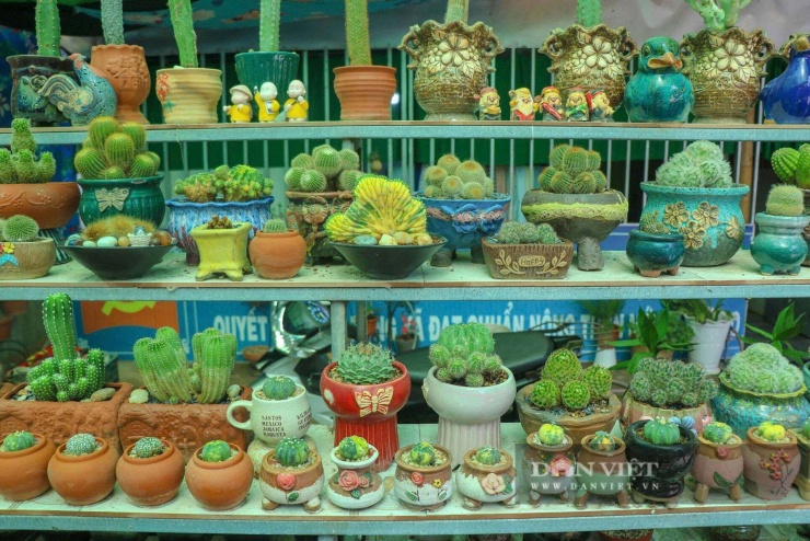 Vũ Lịnh