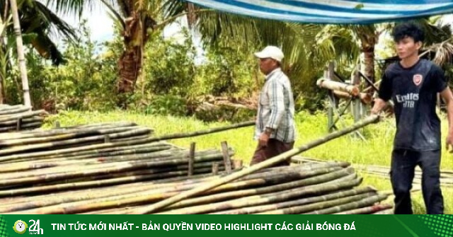Độc lạ cái “chợ” không biển hiệu ở Bảy Núi, An Giang, chỉ bán một mặt hàng mà nuôi sống hàng trăm con người