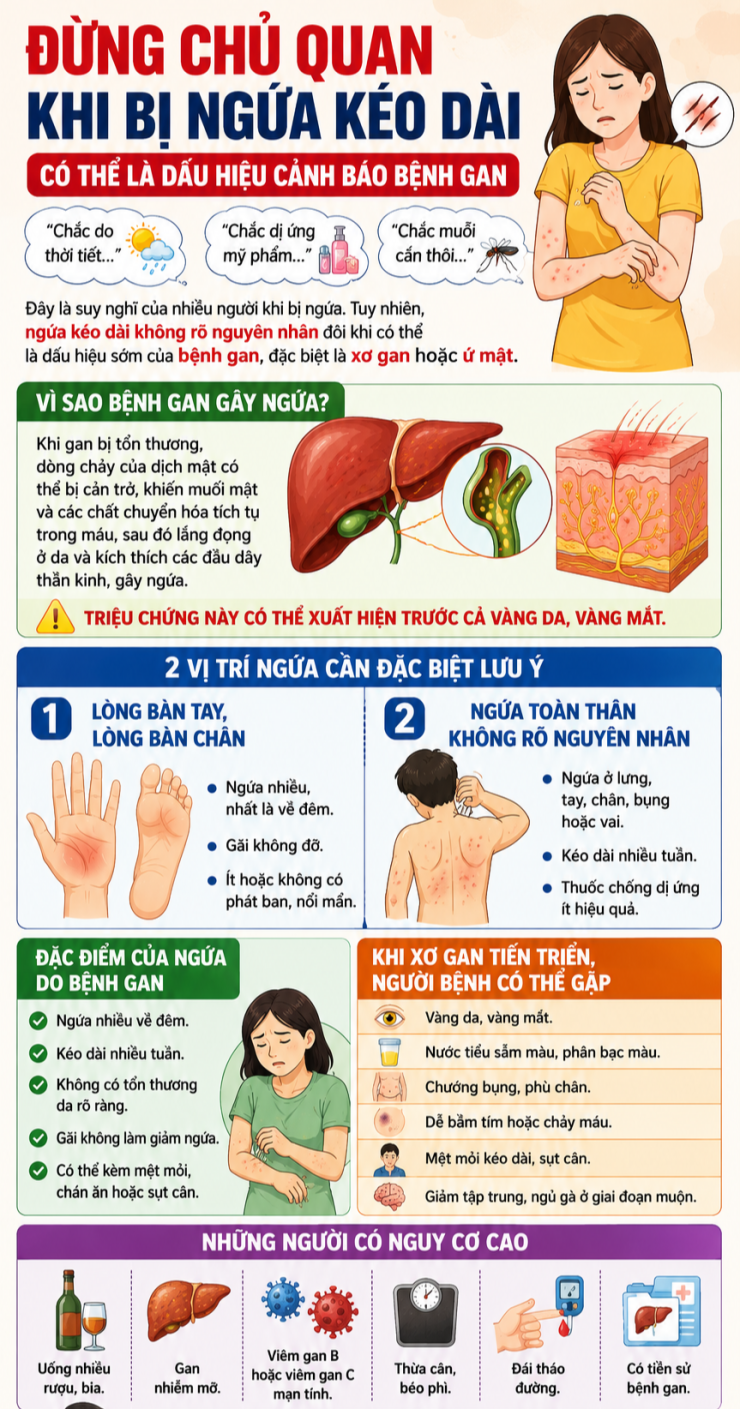 Ngứa kéo dài không rõ nguyên nhân, đặc biệt ở lòng bàn tay, lòng bàn chân hoặc ngứa toàn thân, có thể là dấu hiệu cảnh báo bệnh gan và cần được thăm khám sớm.