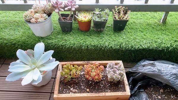 ... tạo nên không gian mát mẻ, dễ thương, an bình và rộng rãi.