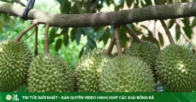Vì sao cùng một loại nông sản nhưng giá bán chênh nhau cả chục lần?