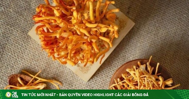 Đông trùng hạ thảo có tác dụng gì, ai nên sử dụng?