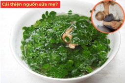 Tin tức sức khỏe - “Siêu thực phẩm” từng mọc dại ven đường, nay được nhiều mẹ sau sinh ít sữa coi như “báu vật”