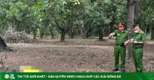 Án mạng trong vườn điều ở Đồng Nai