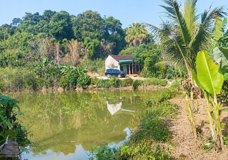Ngôi nhà xưa của vợ chồng ông Yêm từng nuôi dưỡng 7 cô con gái nên người