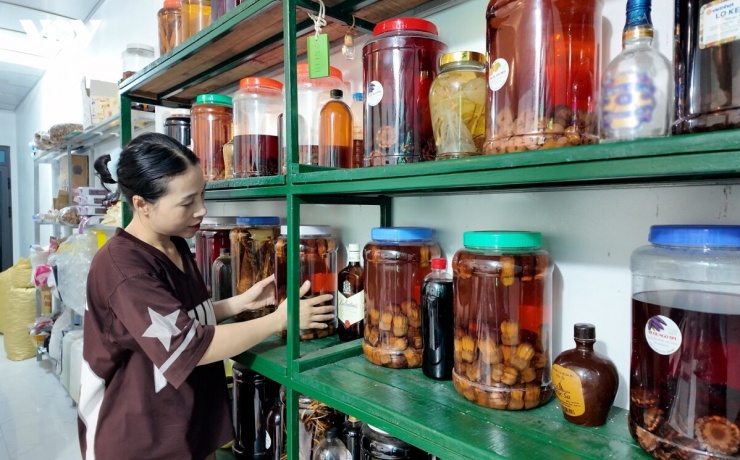 Từ những cánh rừng nguyên sinh ven biển, dứa rừng Thanh Lân đang từng bước khẳng định vị thế của một sản phẩm đặc trưng của đảo. Người dân địa phương luôn tâm niệm gìn giữ nguồn tài nguyên này bằng cách thu hái hợp lý, không chặt phá hay làm hư hại cây, giúp những bụi dứa già tiếp tục sinh trưởng, mỗi năm lại kết trái, tạo nguồn thu nhập ổn định và góp phần bảo tồn hệ sinh thái rừng nguyên sinh trên đảo.
