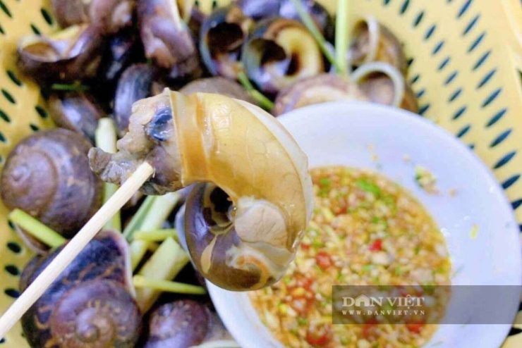 Quỳnh Mai.