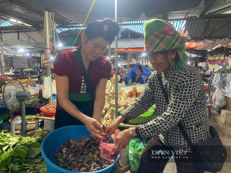 Trường Sơn.