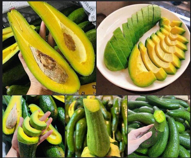 Bơ 034 có phần cơm vàng, dẻo mịn và béo ngậy.