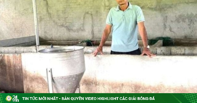 Thất bại khi nuôi lợn, anh nông dân Nghệ An thấy con vật mới này, nuôi thử 5.000 con ở chuồng lợn cũ, thành công ngay