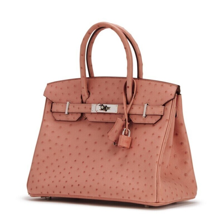 Bộ sưu tập túi Hermes tiền tỷ của vợ thiếu gia Phan Thành - 11