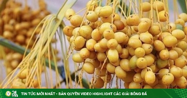 10 loại trái cây giàu chất xơ, càng ăn càng tốt cho tiêu hóa và sức khỏe