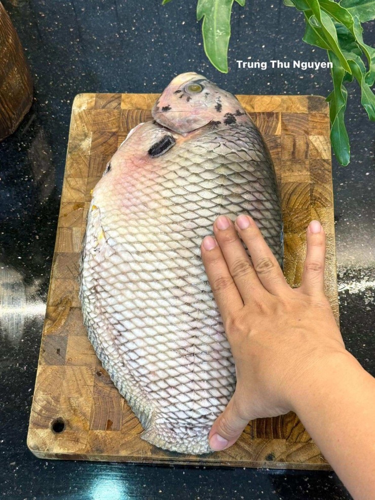 Cá lớn rất ngon