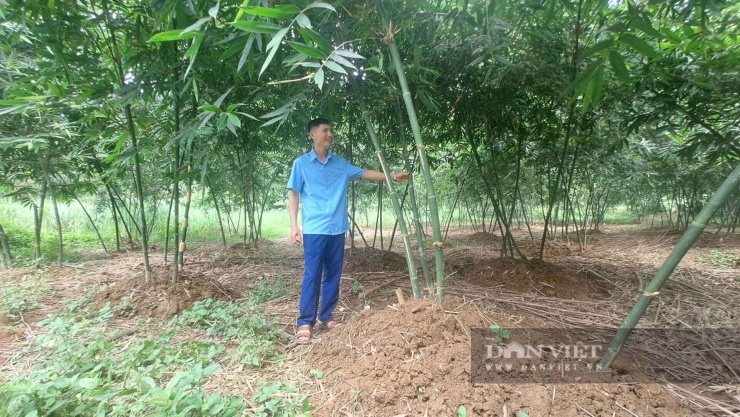 Hà Thanh