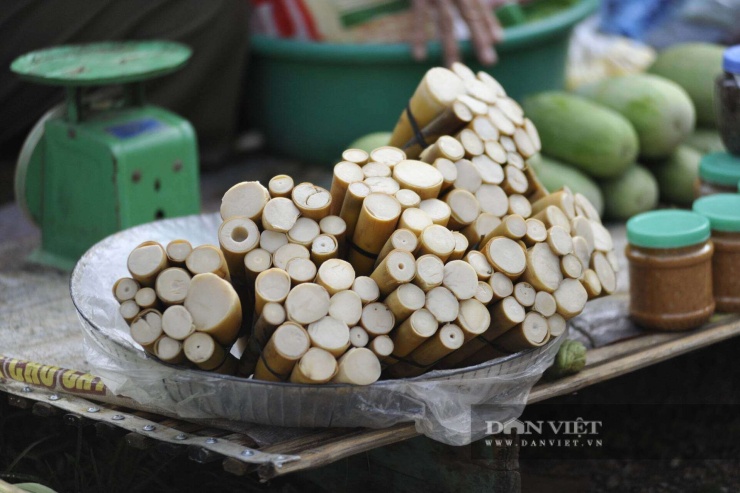Trường Sơn.