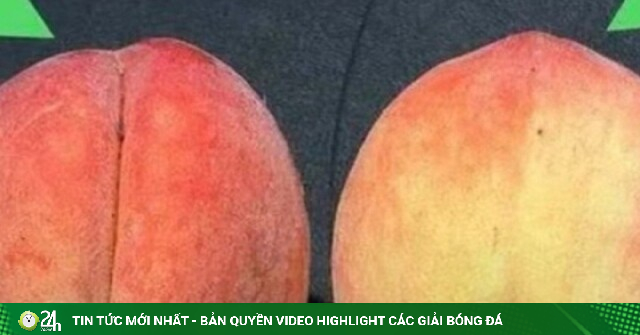 Chọn đào đầu nhọn hay đầu tròn mới ngon? Chuyên gia mách 5 mẹo đơn giản, đừng chỉ nhìn hình dáng