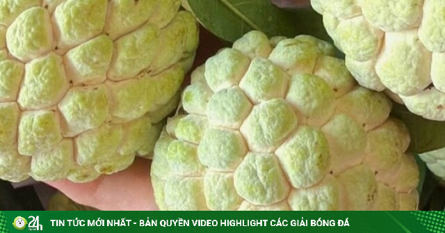Loại quả đang vào mùa ngon nhất, tốt cho tim mạch và huyết áp, biết 4 mẹo này sẽ chọn được quả ngọt thơm