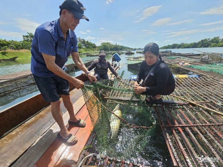 Hải Sâm