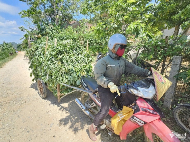 Hải Sâm