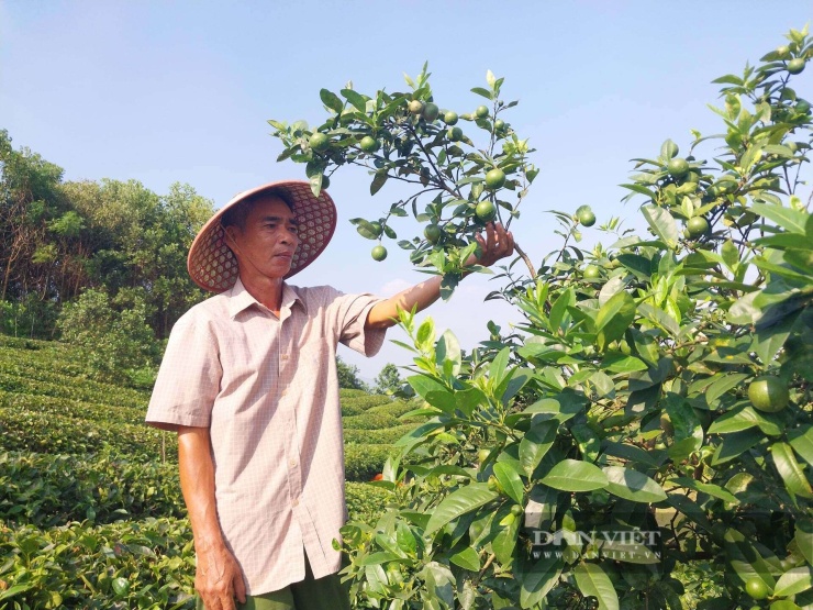 Mùa Xuân.