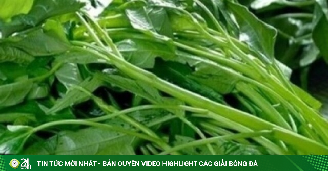 Đau dạ dày có nên kiêng rau muống? Sự thật khiến nhiều người bất ngờ