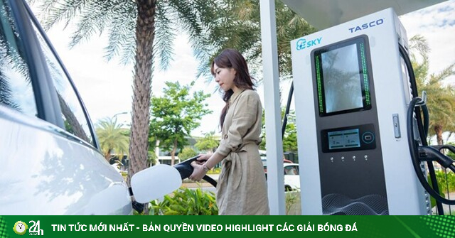 Nghiên cứu mới hé lộ điều bất ngờ về mức độ hài lòng của chủ xe điện
