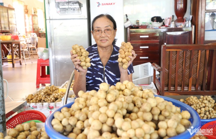 Mẹ của anh Khâm sẽ trực tiếp phân loại, lựa bòn bon