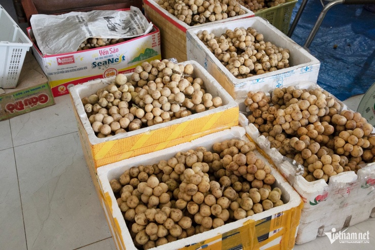 Những thùng bòn bon chuẩn bị giao cho thương lái