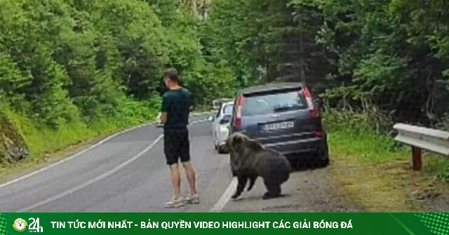 Thanh niên suýt bị gấu tấn công do mải xem điện thoại giữa rừng