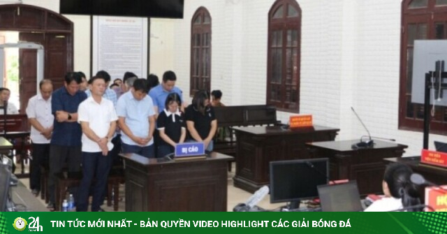 Cấp đất sai, cựu Phó Chủ tịch UBND huyện tại Quảng Trị lãnh án tù