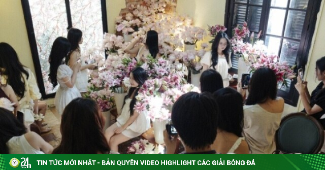 Quán cà phê ngập hoa sen, dựng sạp trái cây hút giới trẻ 'sống ảo'
