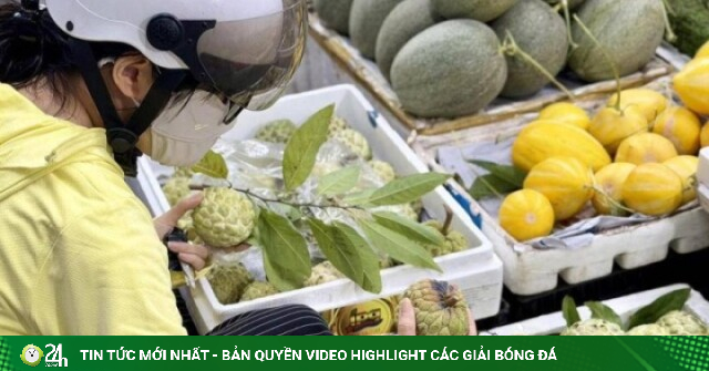 Tiểu thương bật mí cách chọn na chín già, dày thịt, ngọt lịm chỉ dựa vào những đặc điểm đơn giản này