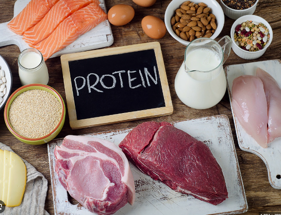 Protein đóng vai trò quan trọng trong tái tạo mô, duy trì khối cơ và tham gia cấu tạo nhiều thành phần thiết yếu của cơ thể, chẳng hạn như hemoglobin giúp vận chuyển oxy.
