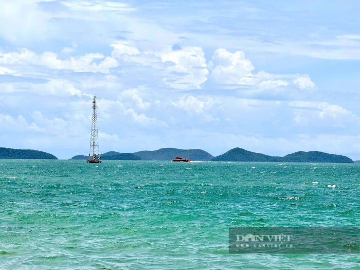 Hồng Cẩm