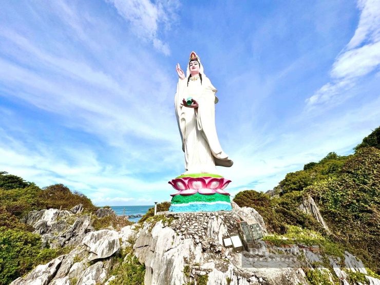 Hồng Cẩm