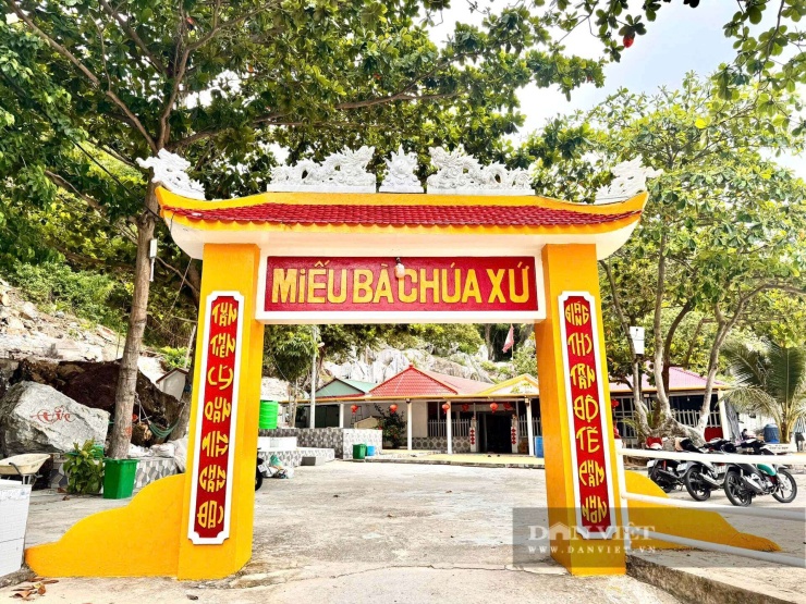 Hồng Cẩm