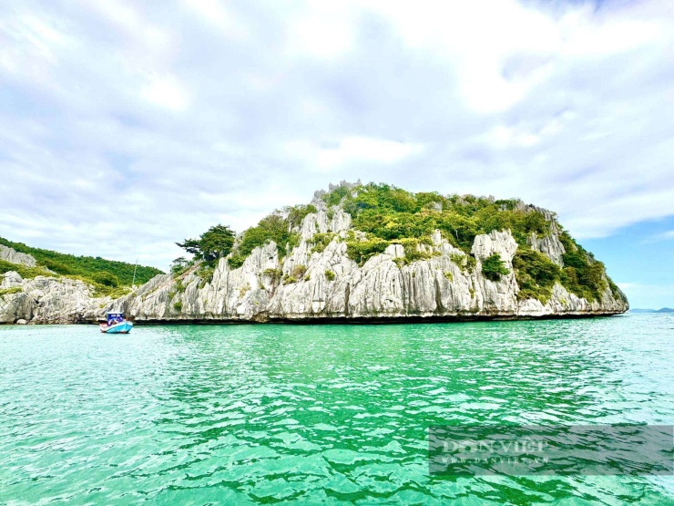 Hồng Cẩm